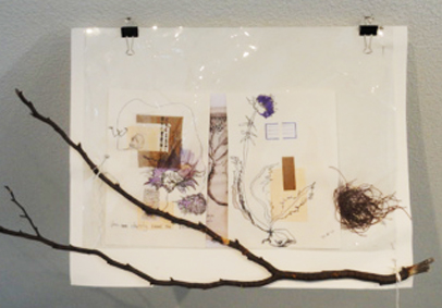 Annick Picchio